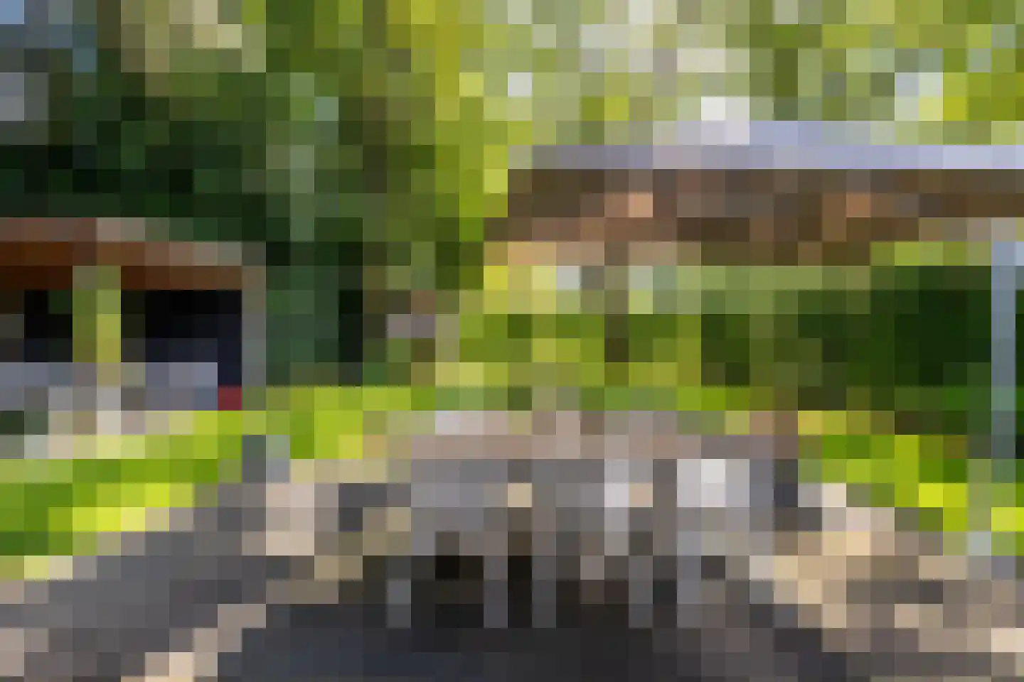 Kapucijnenhof 67 Oosterhout thumbnail 59