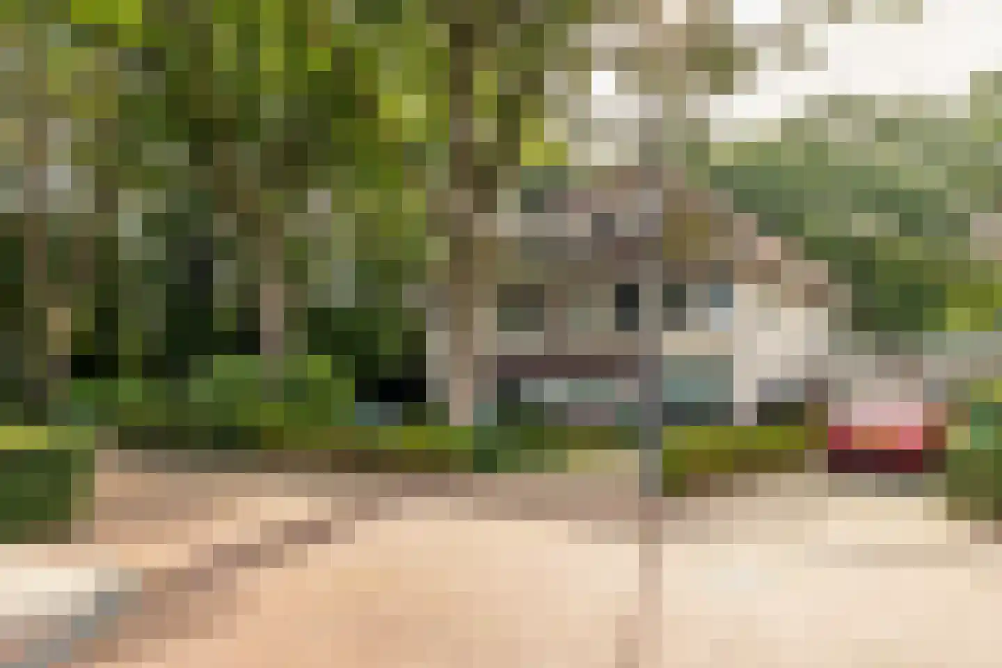 Kapucijnenhof 67 Oosterhout thumbnail 6