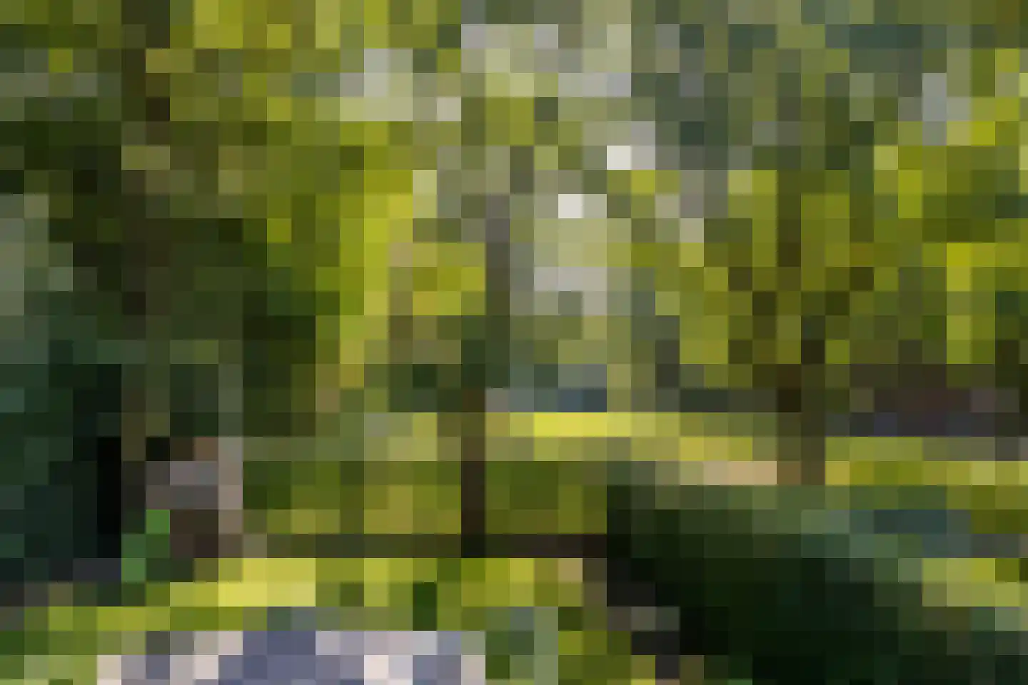 Kapucijnenhof 67 Oosterhout thumbnail 61