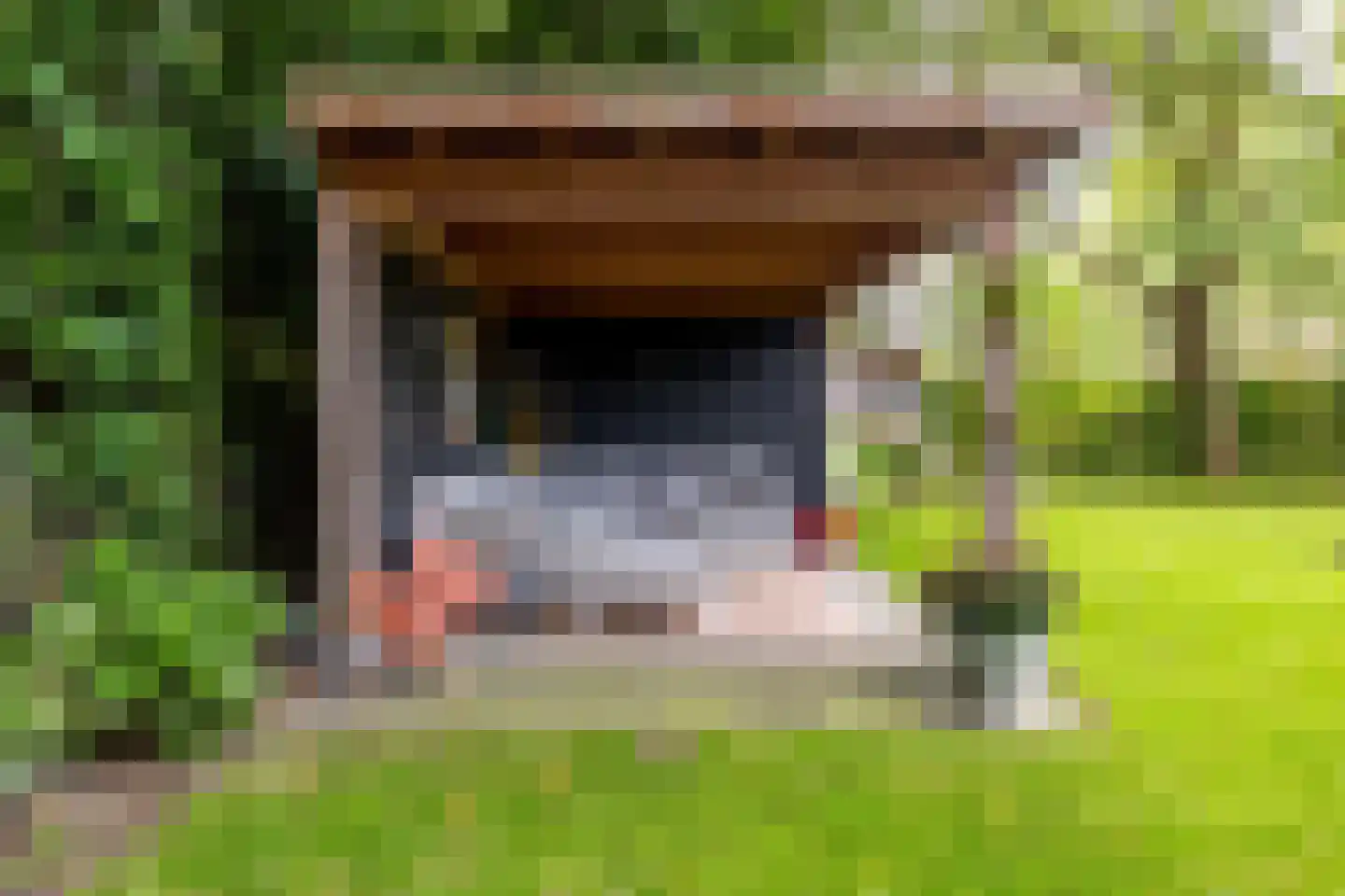 Kapucijnenhof 67 Oosterhout thumbnail 63