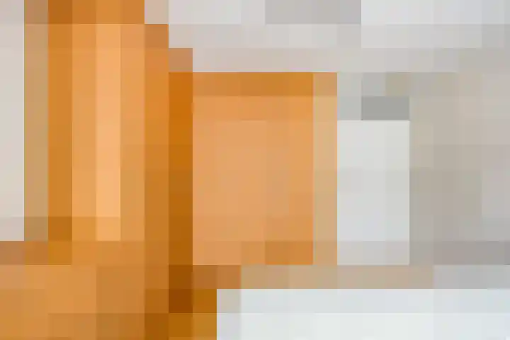 Kapucijnenhof 7 Breda thumbnail 10