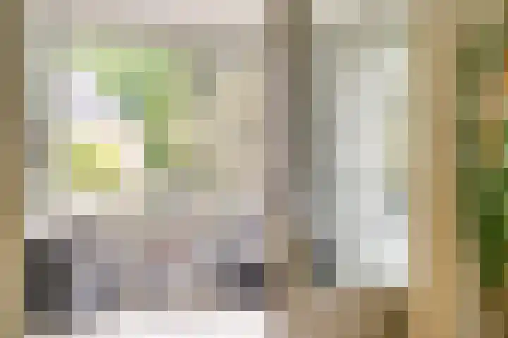 Kapucijnenhof 7 Breda thumbnail 14