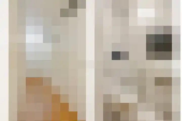 Kapucijnenhof 7 Breda thumbnail 18