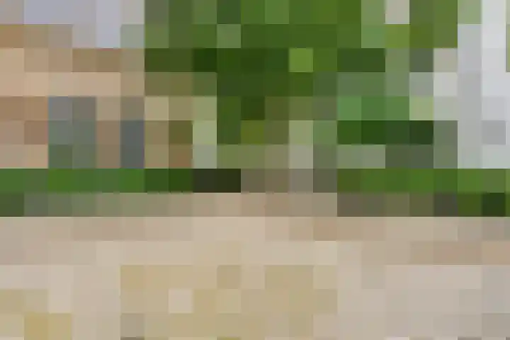 Kapucijnenhof 7 Breda thumbnail 26