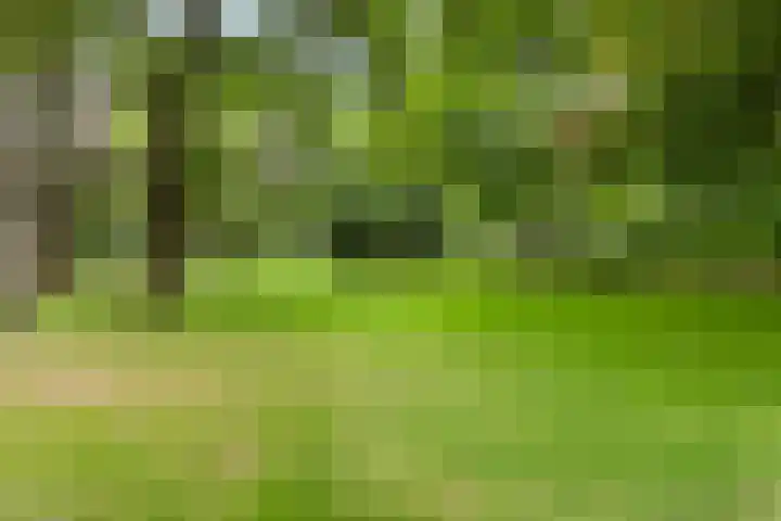 Kapucijnenhof 7 Breda thumbnail 34
