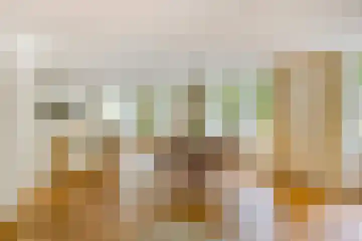 Kapucijnenhof 7 Breda thumbnail 6