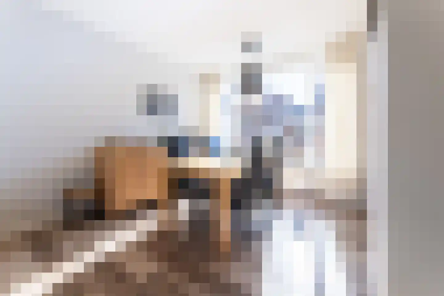 Kapucijnenstraat 3 Ossendrecht thumbnail 12