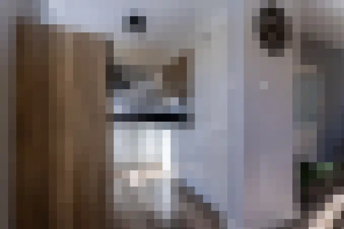 Kapucijnenstraat 3 Ossendrecht thumbnail 14