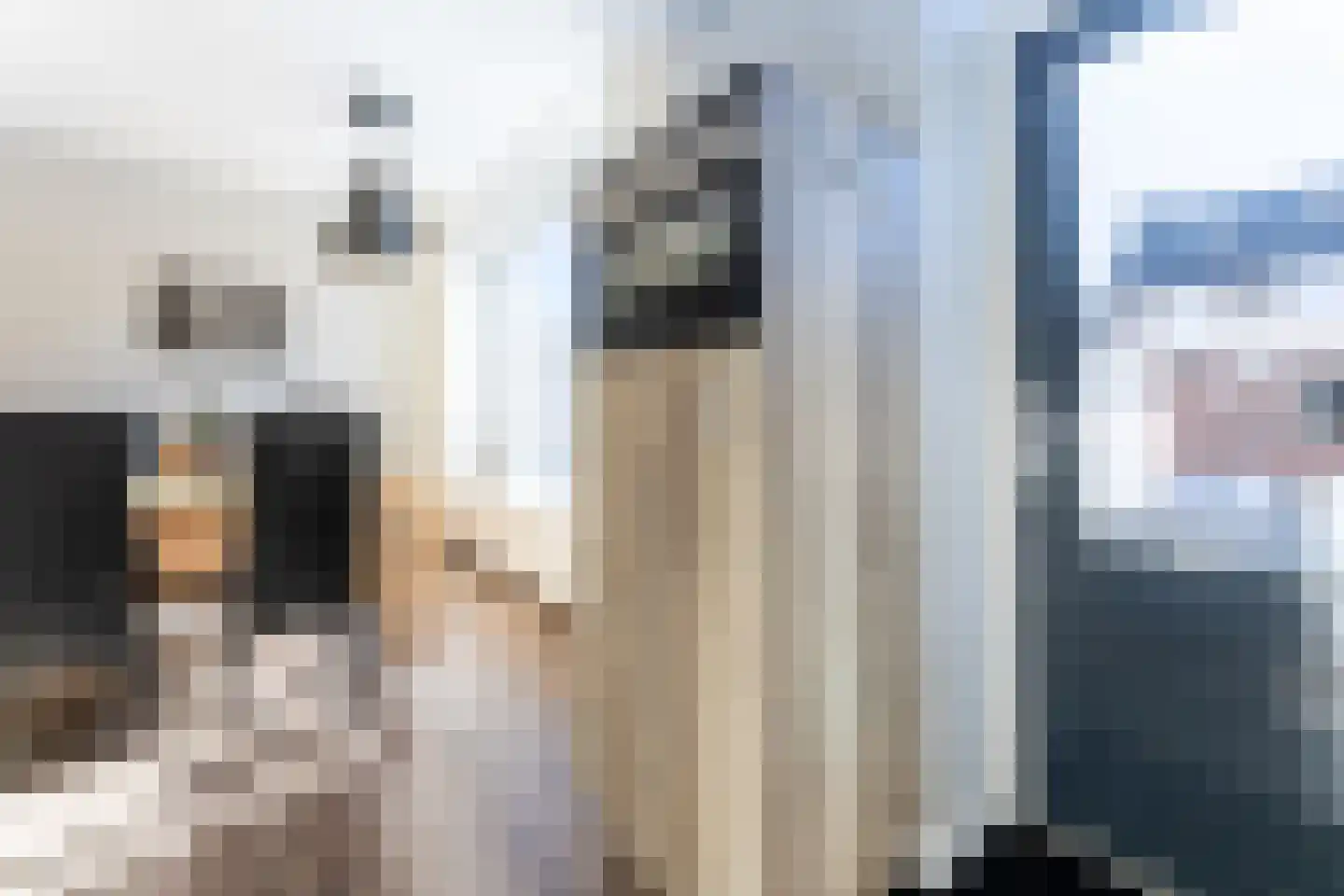 Kapucijnenstraat 3 Ossendrecht thumbnail 17