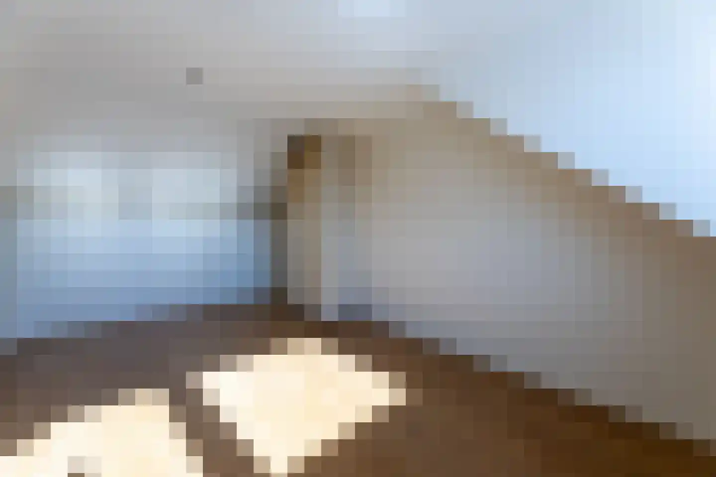 Kapucijnenstraat 3 Ossendrecht thumbnail 34