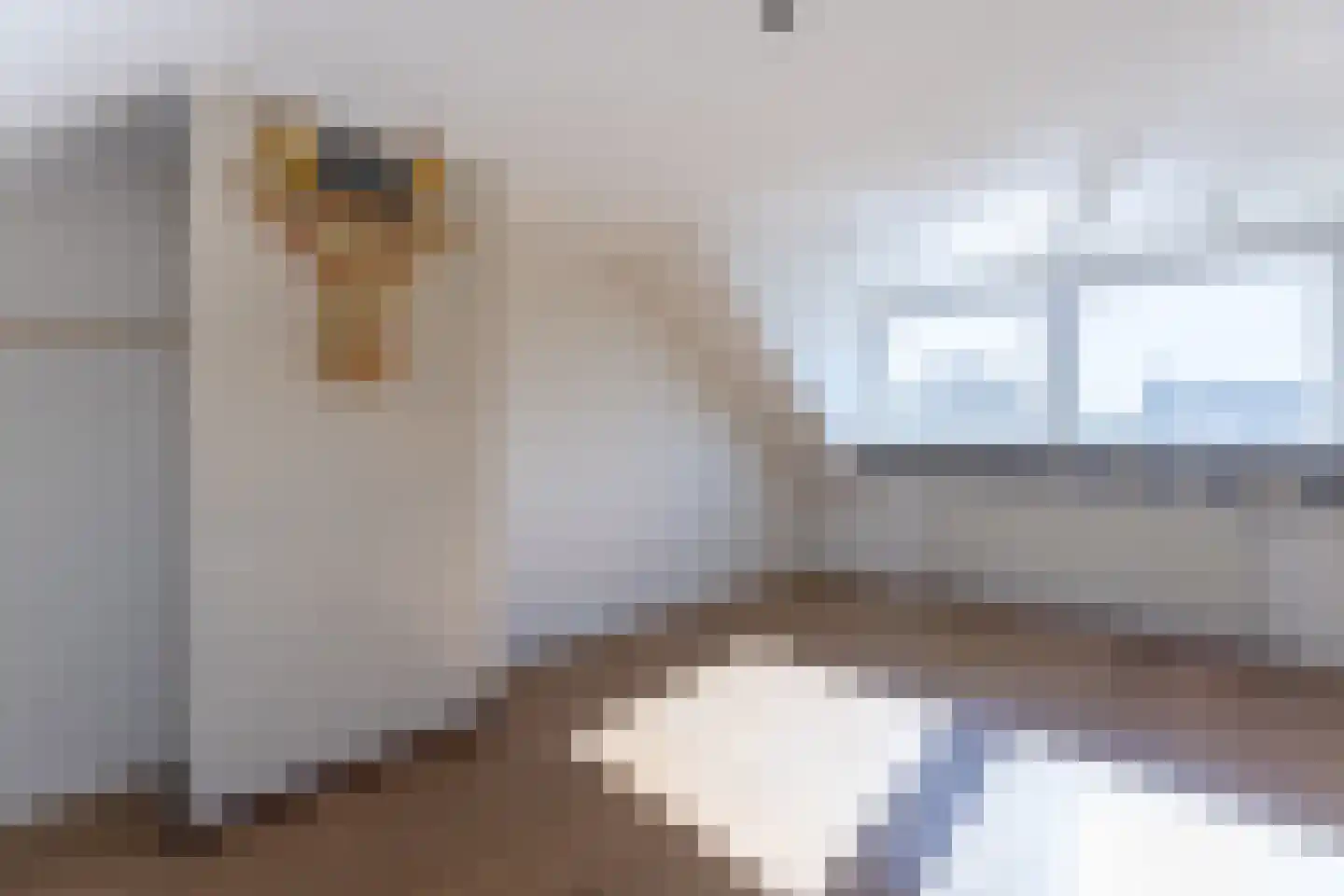 Kapucijnenstraat 3 Ossendrecht thumbnail 35