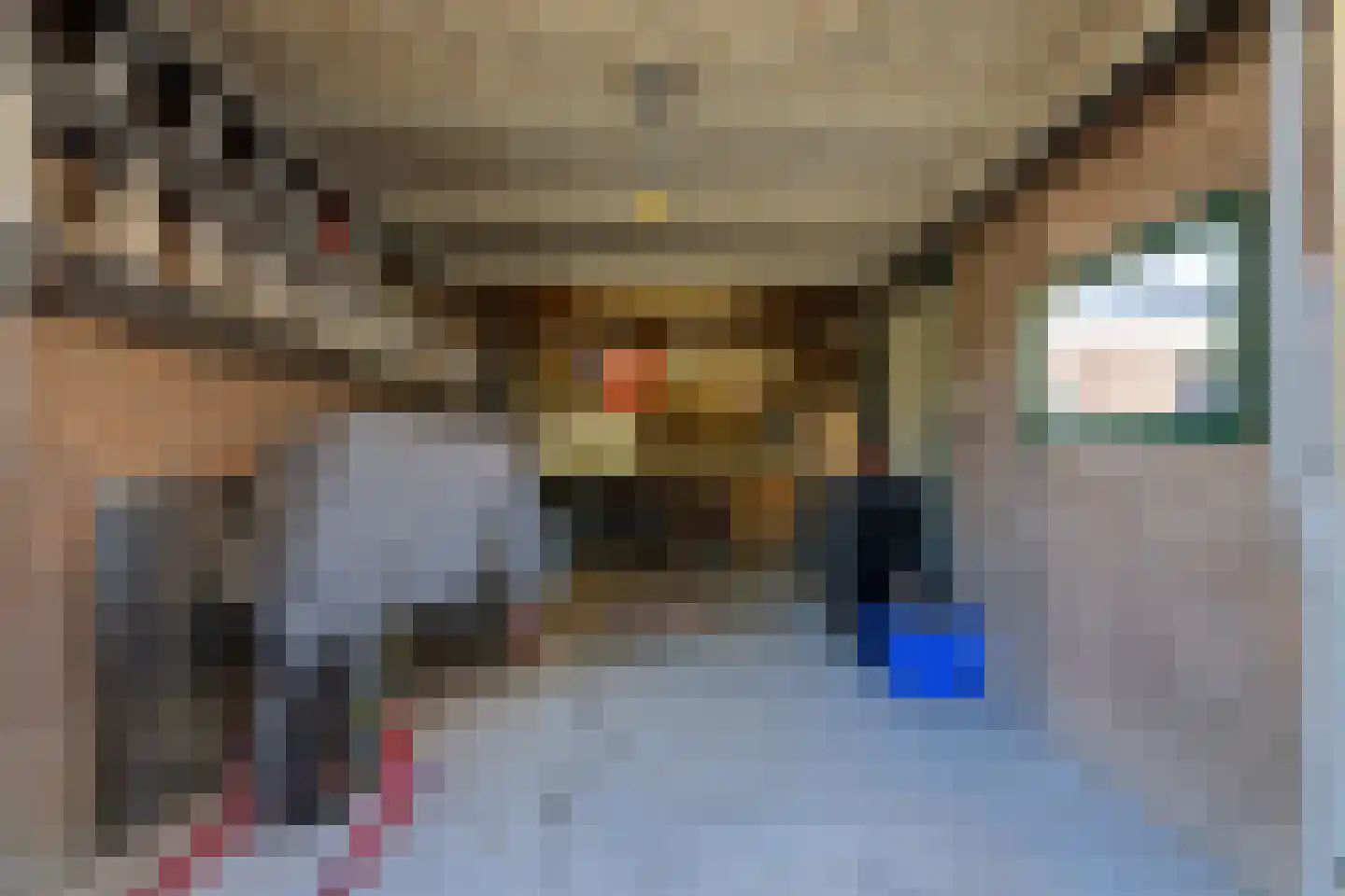 Kapucijnenstraat 3 Ossendrecht thumbnail 40