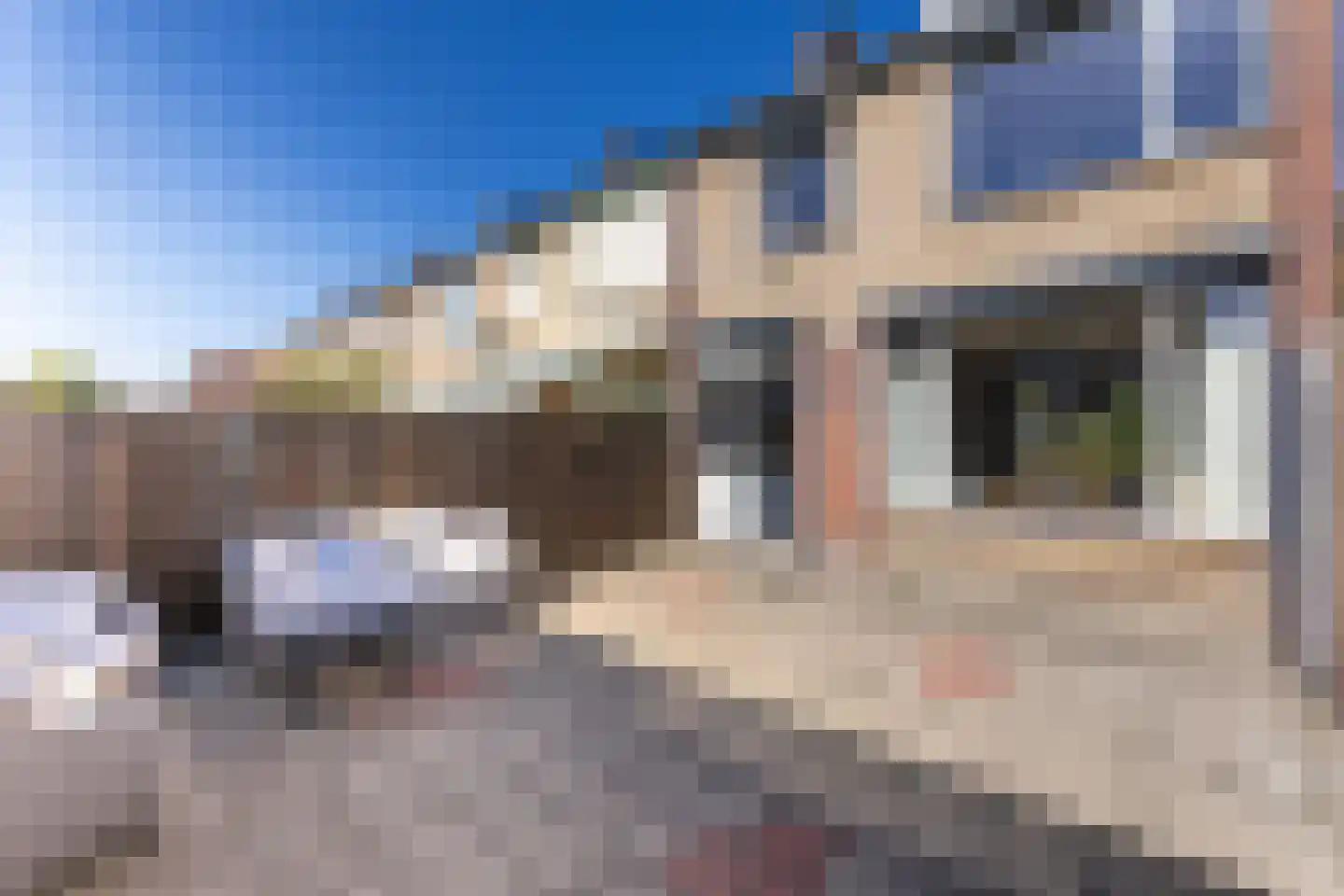 Kapucijnenstraat 3 Ossendrecht thumbnail 42