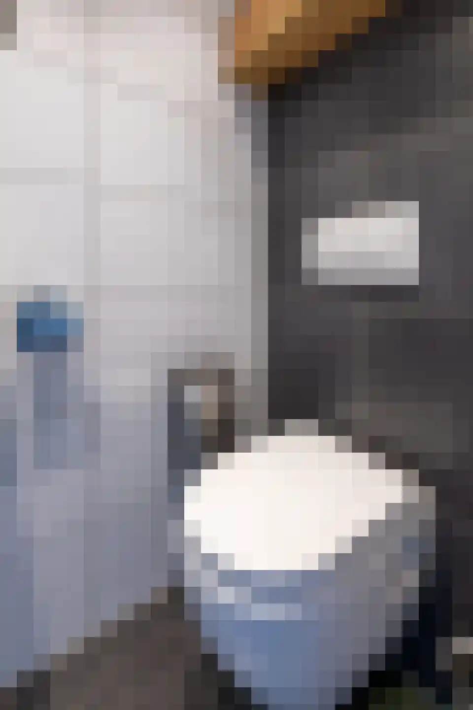 Kapucijnenstraat 3 Ossendrecht thumbnail 8