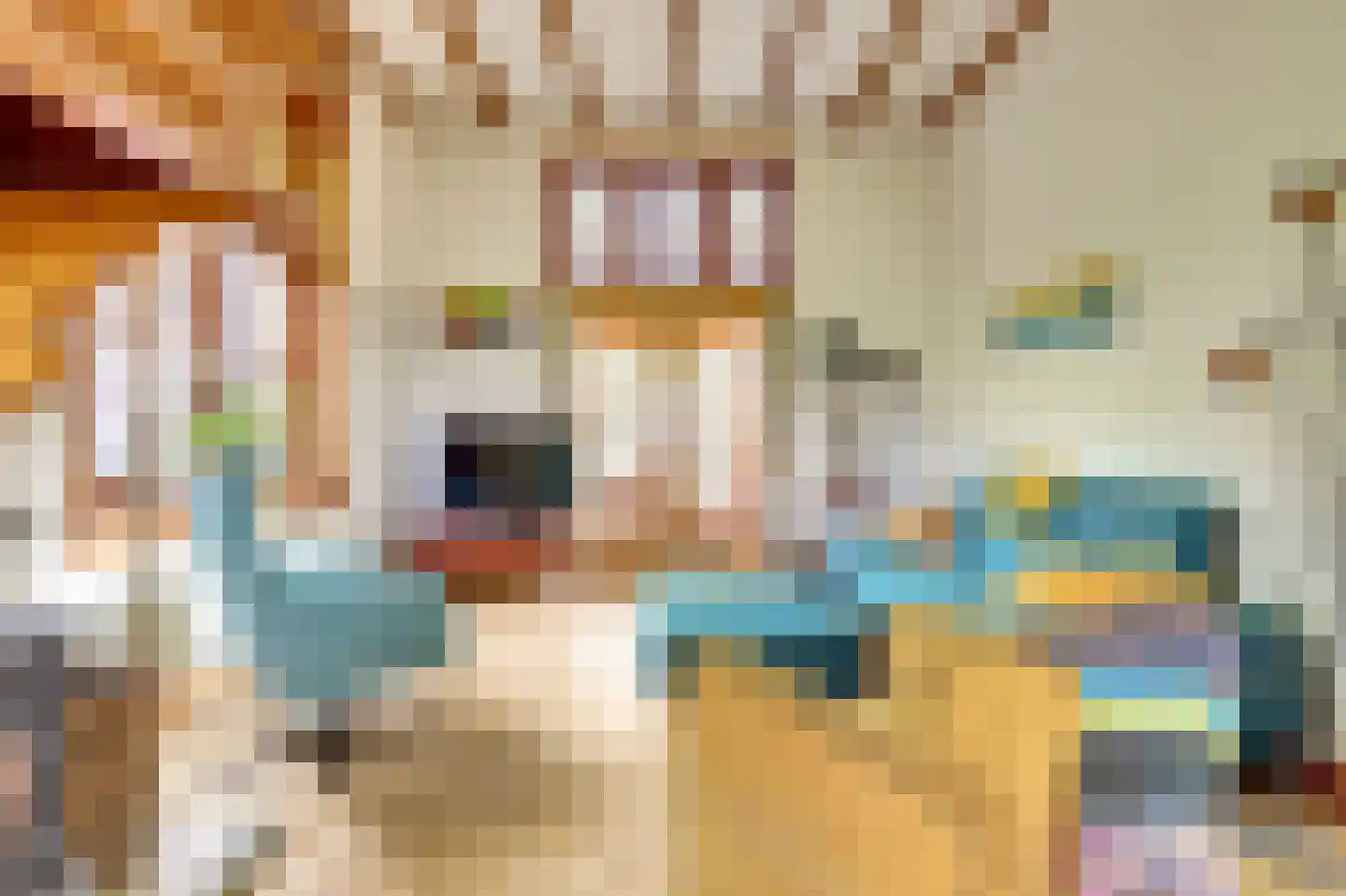 Kapucijnenweg 5 Rilland thumbnail 11