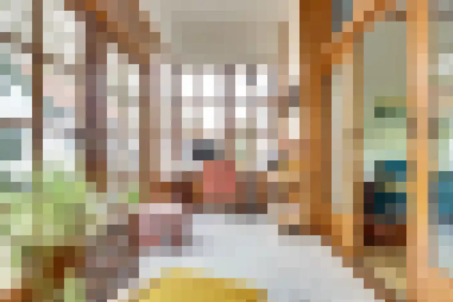 Kapucijnenweg 5 Rilland thumbnail 23