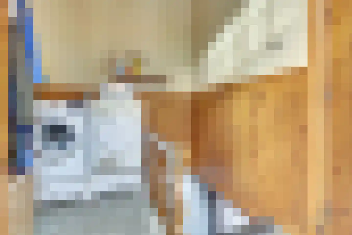 Kapucijnenweg 5 Rilland thumbnail 35