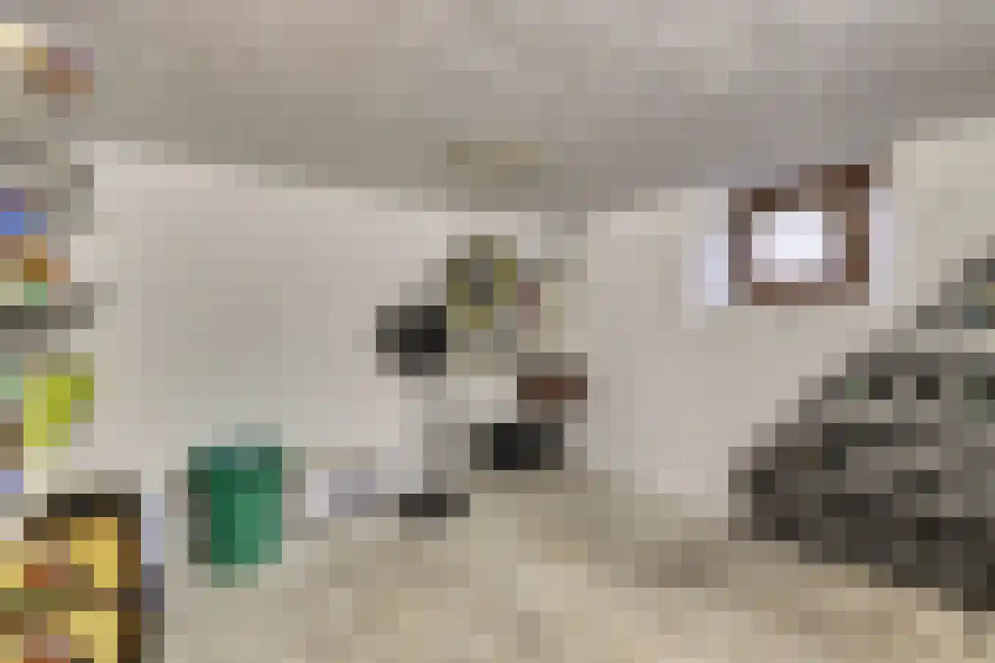 Kapucijnenweg 5 Rilland thumbnail 38