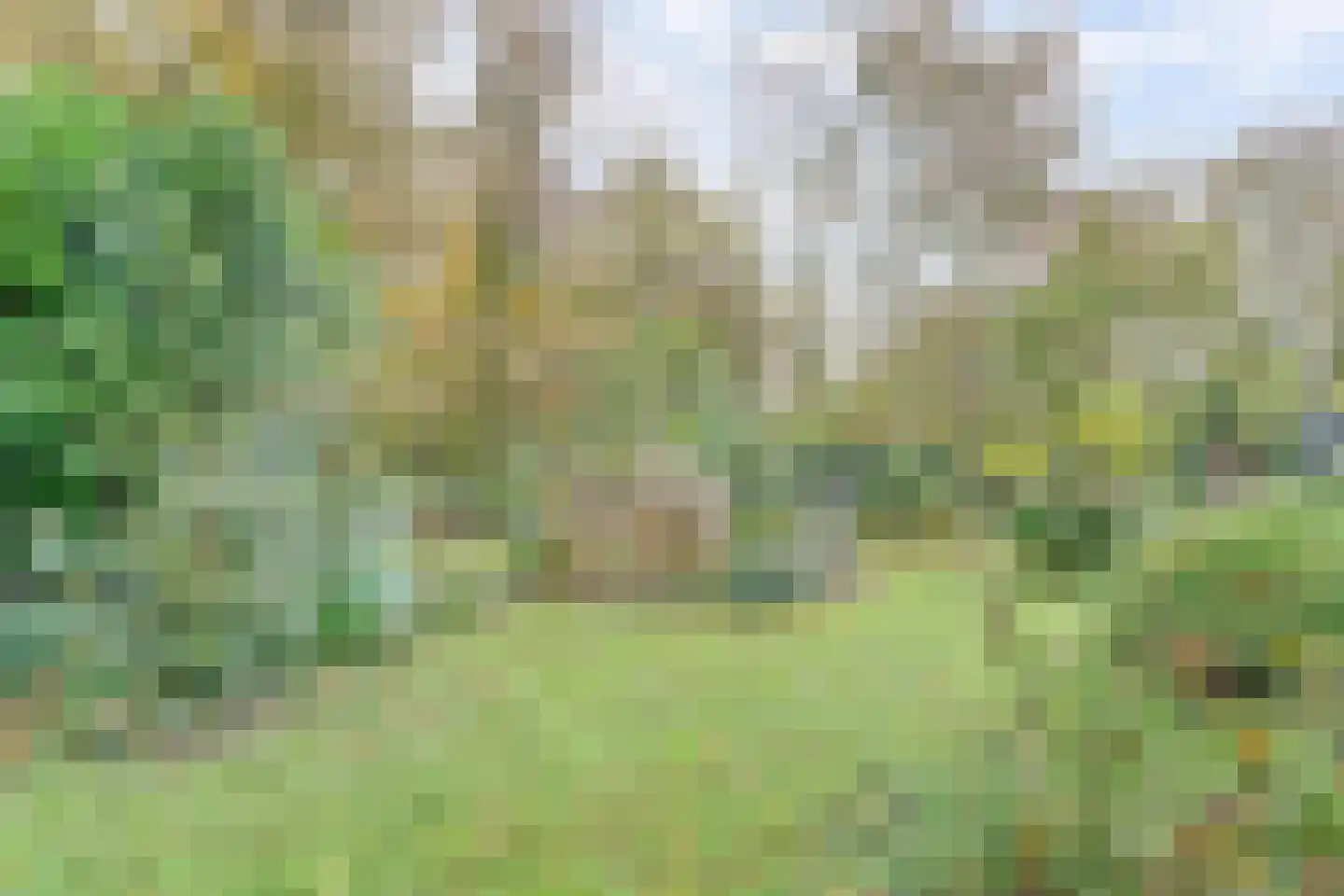 Kapucijnenweg 5 Rilland thumbnail 46