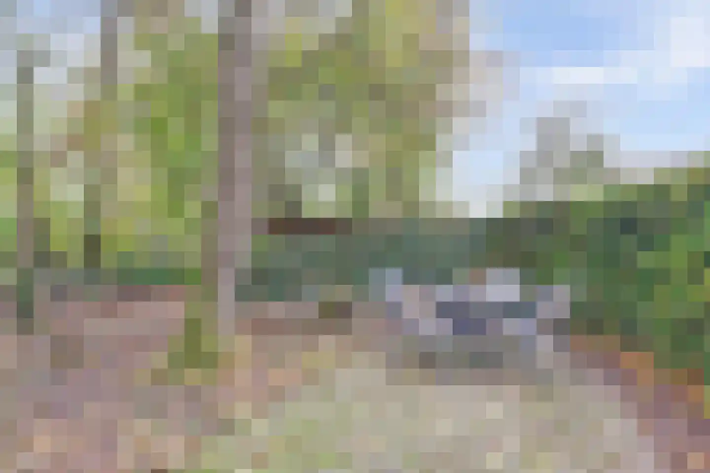 Kapucijnenweg 5 Rilland thumbnail 48