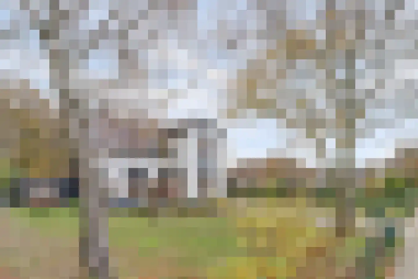 Kapucijnenweg 5 Rilland thumbnail 5