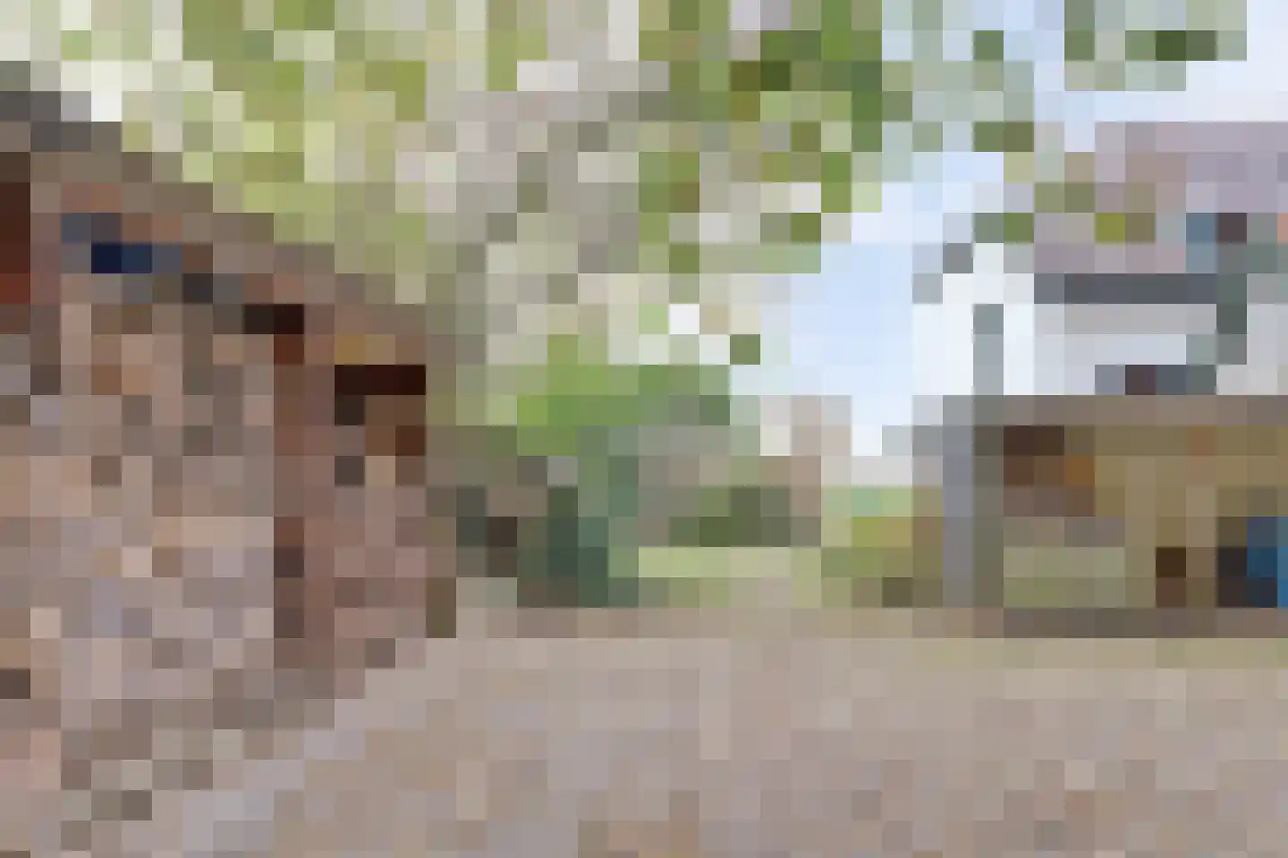 Kapucijnenweg 5 Rilland thumbnail 50