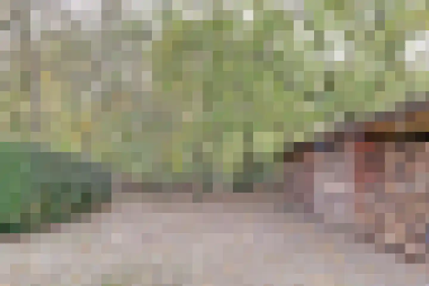Kapucijnenweg 5 Rilland thumbnail 51