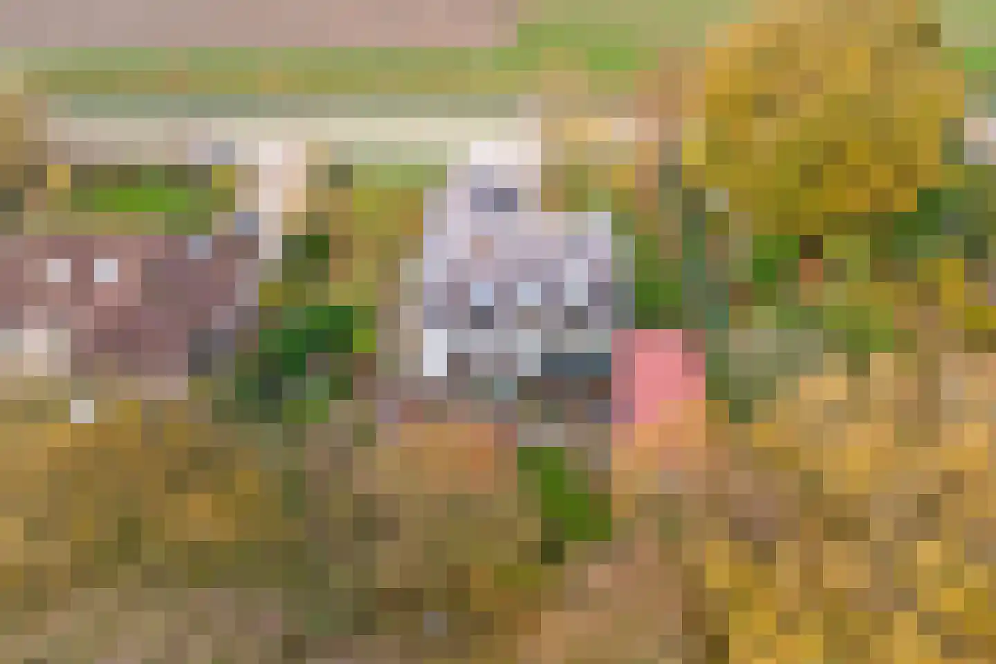 Kapucijnenweg 5 Rilland thumbnail 52