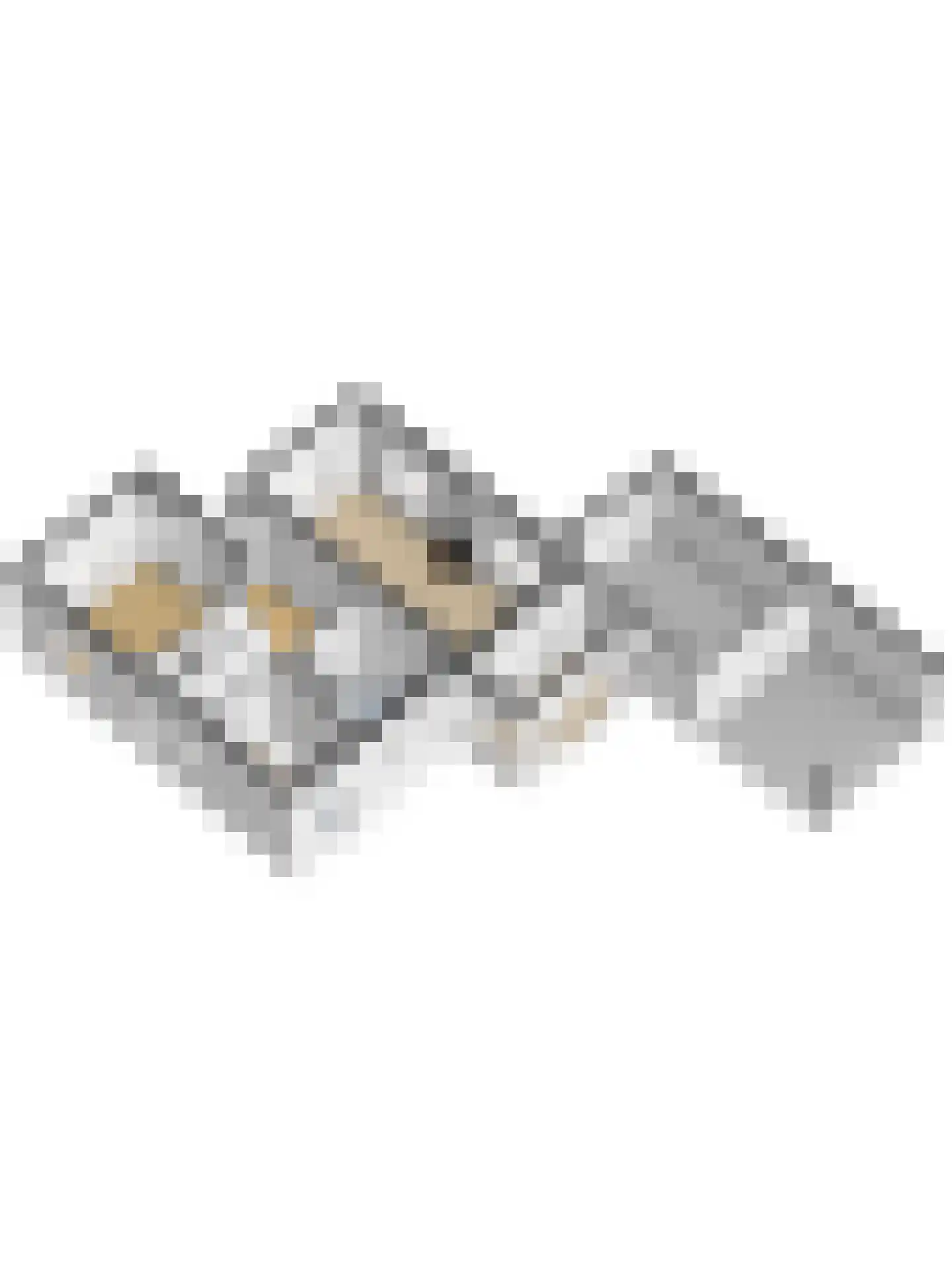 Kapucijnenweg 5 Rilland thumbnail 63