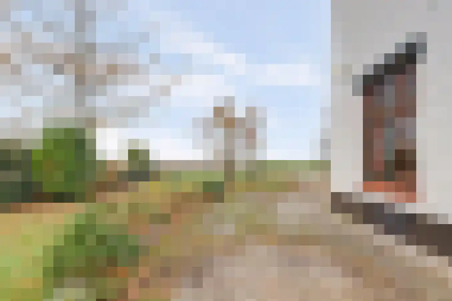 Kapucijnenweg 5 Rilland thumbnail 7