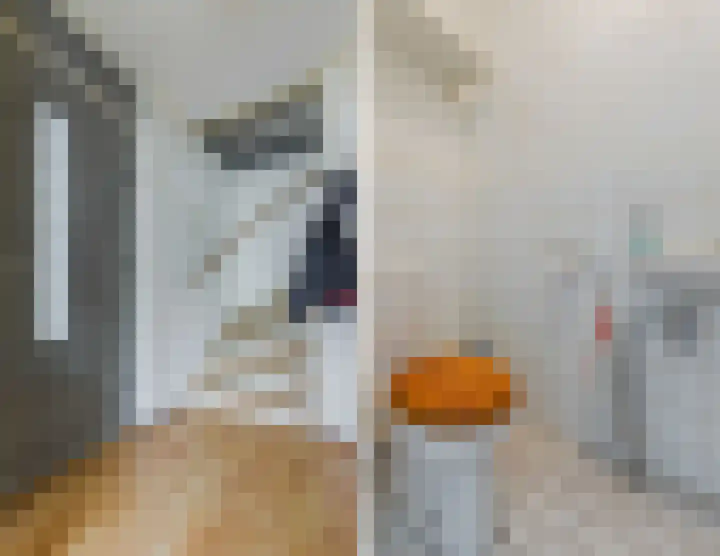 Kapzaag 12 Zaandam thumbnail 23