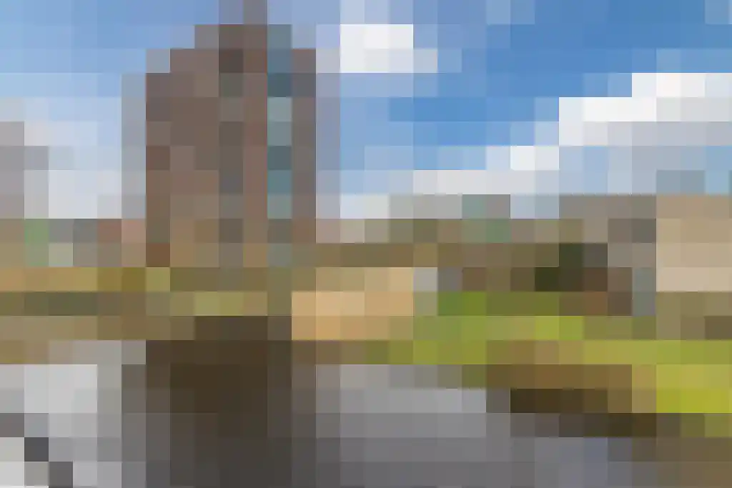 Kapzaag 20 Zaandam thumbnail 24