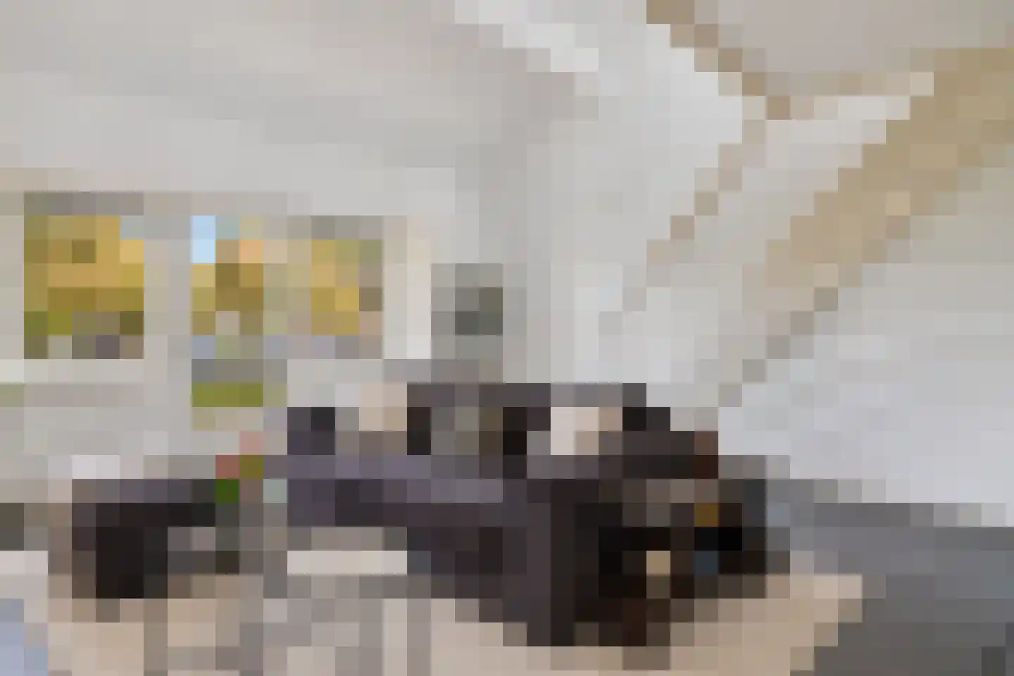 Kapzaag 20 Zaandam thumbnail 4
