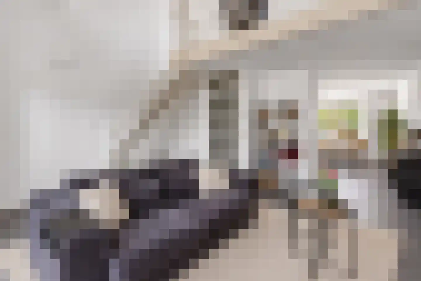 Kapzaag 20 Zaandam thumbnail 5