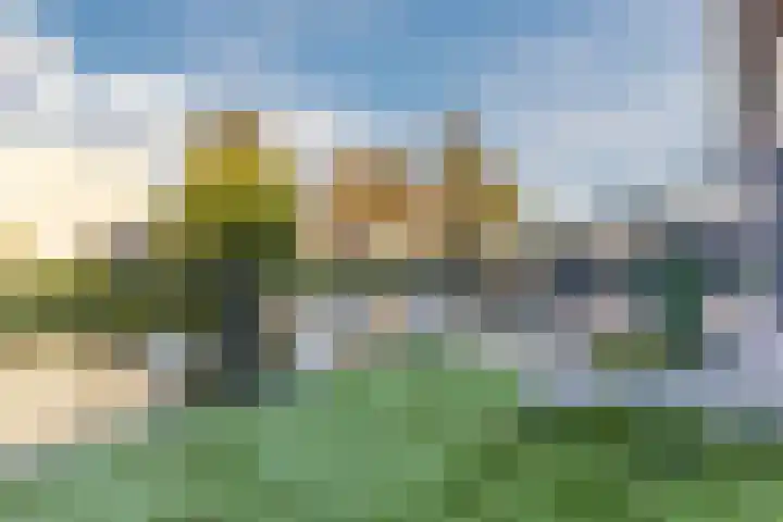 Kapzaag 24 Zaandam thumbnail 5