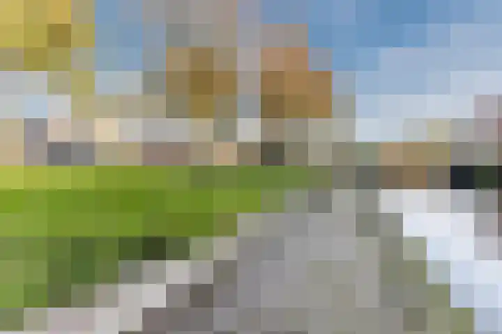 Kapzaag 24 Zaandam thumbnail 50