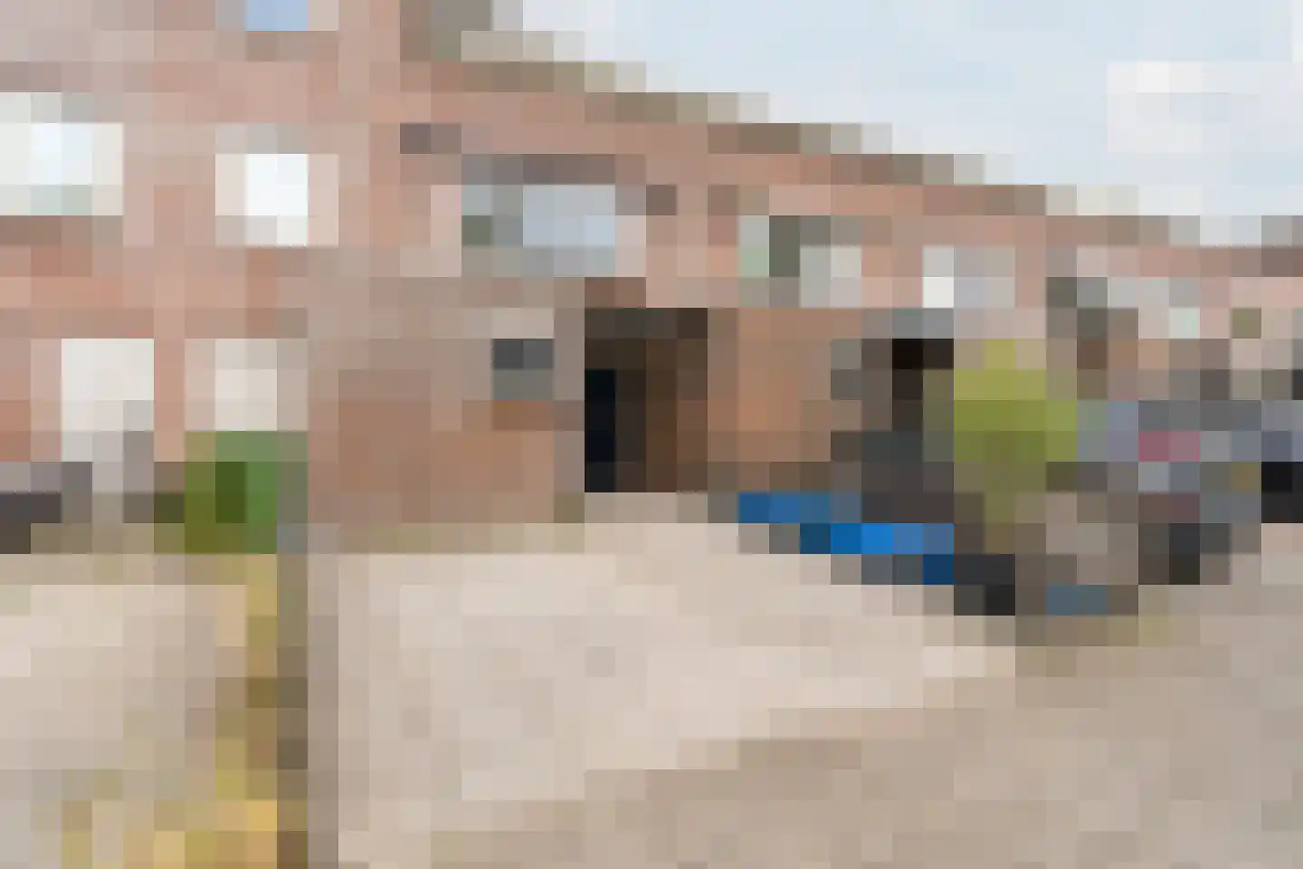 Kapzaag 26 Zaandam