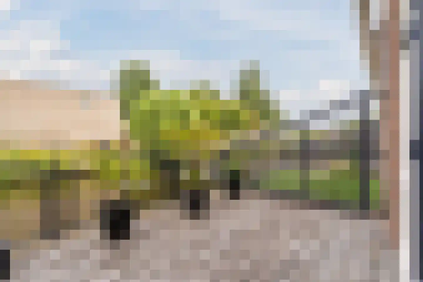 Kapzaag 26 Zaandam thumbnail 17
