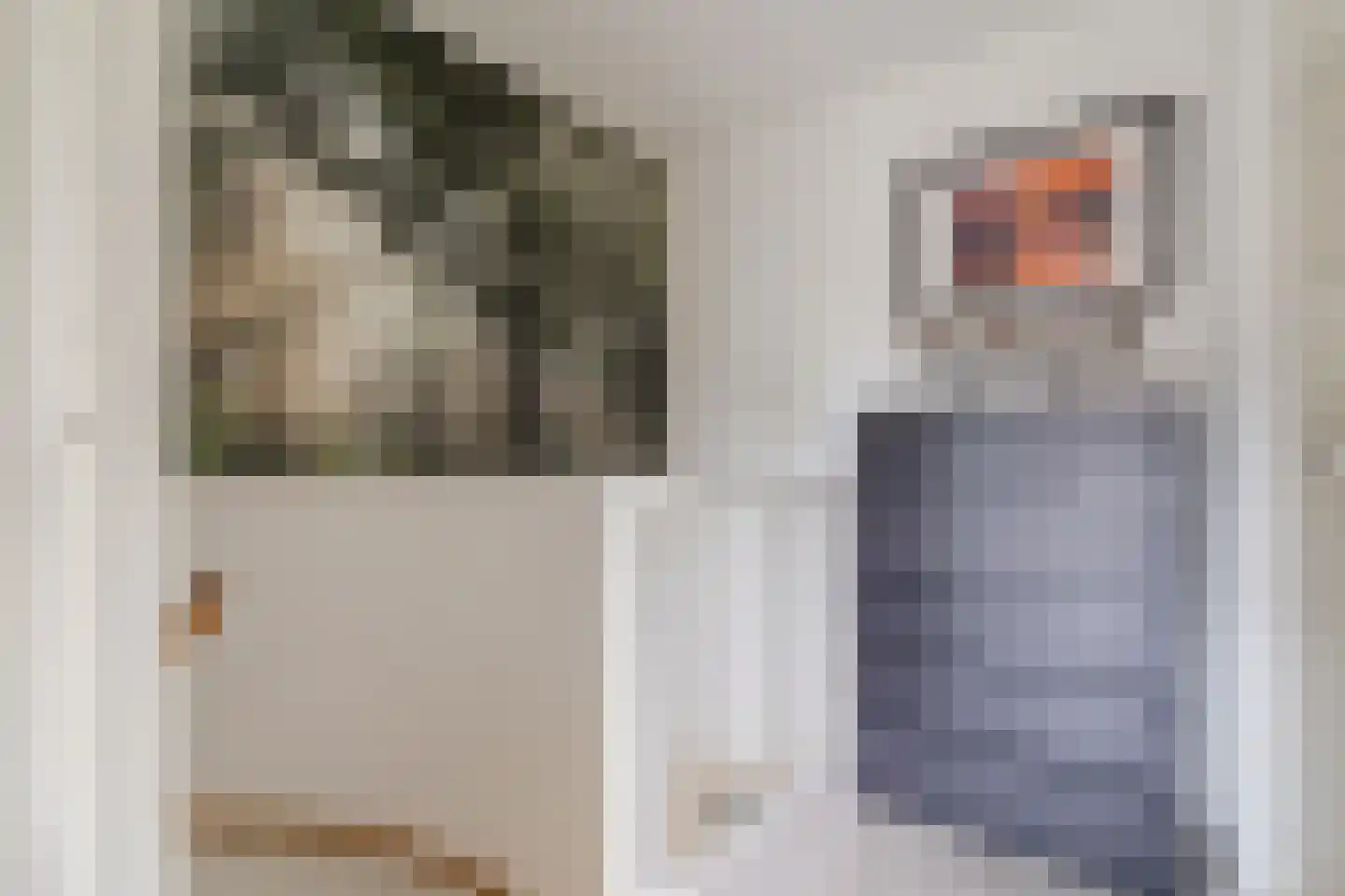 Kapzaag 26 Zaandam thumbnail 27