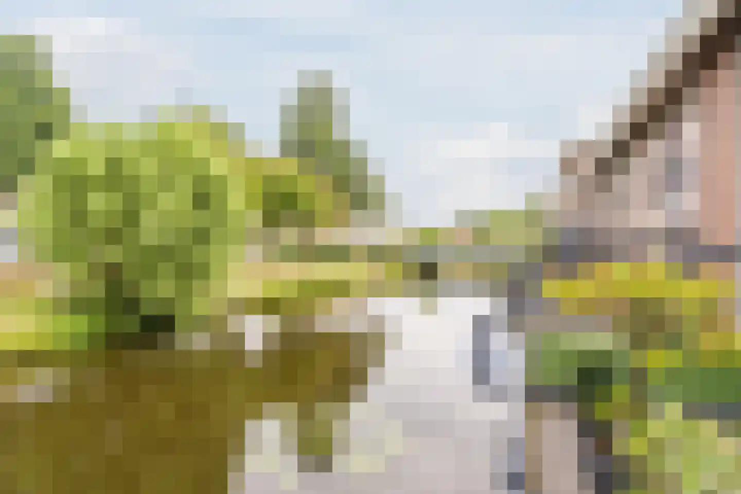 Kapzaag 26 Zaandam thumbnail 36