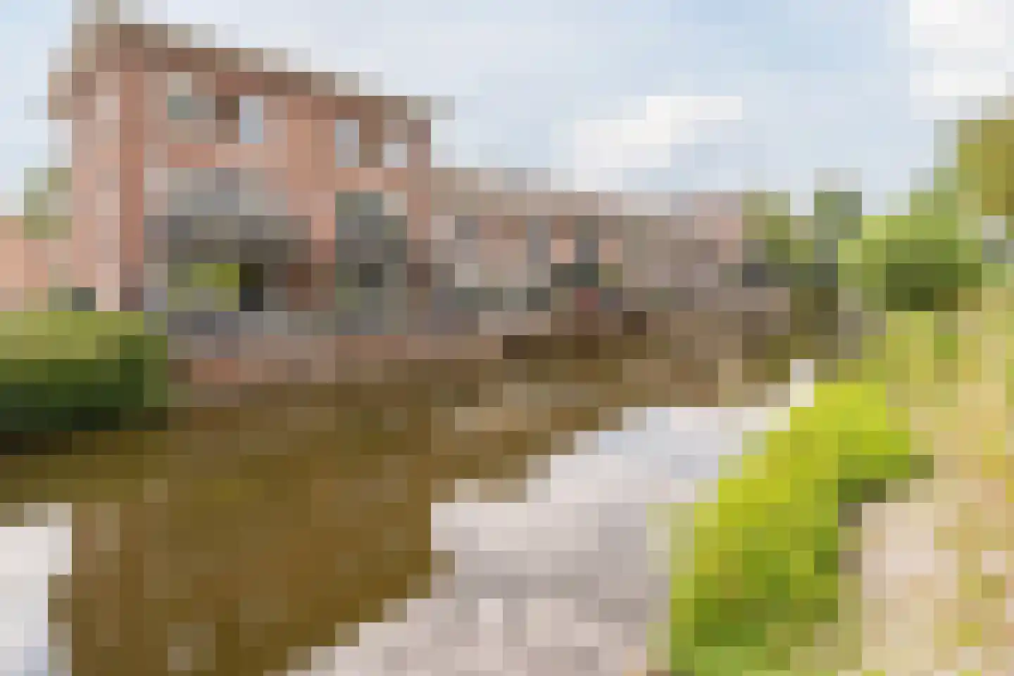 Kapzaag 26 Zaandam thumbnail 38