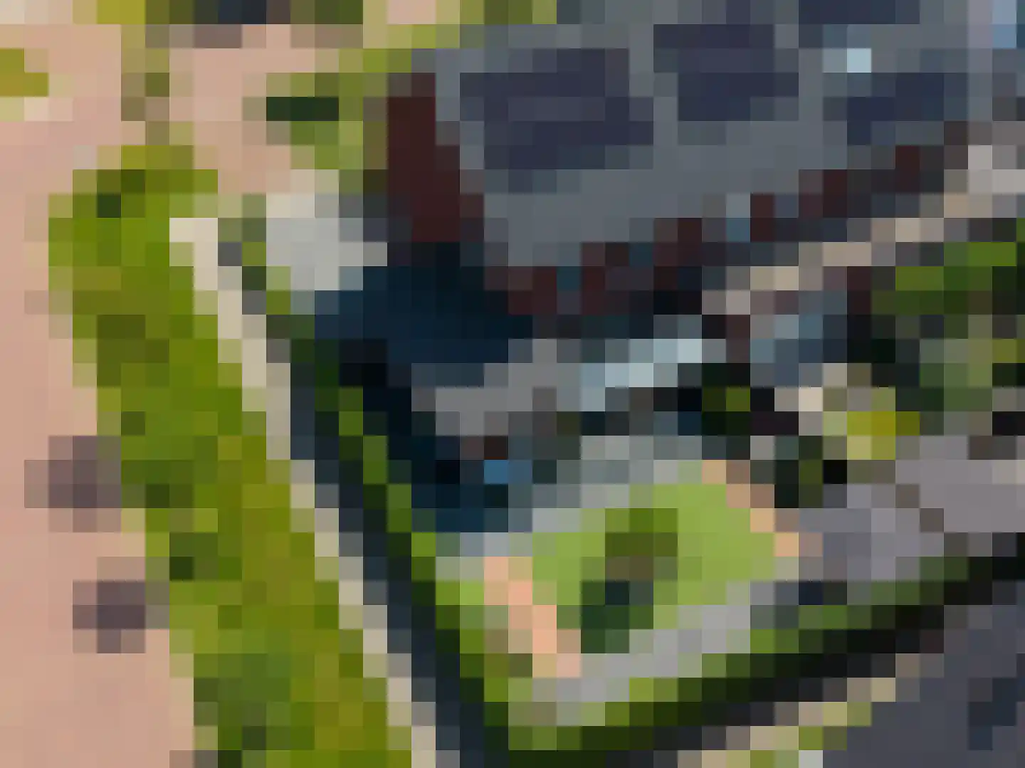 Kapzolder 13 Nunspeet thumbnail 6
