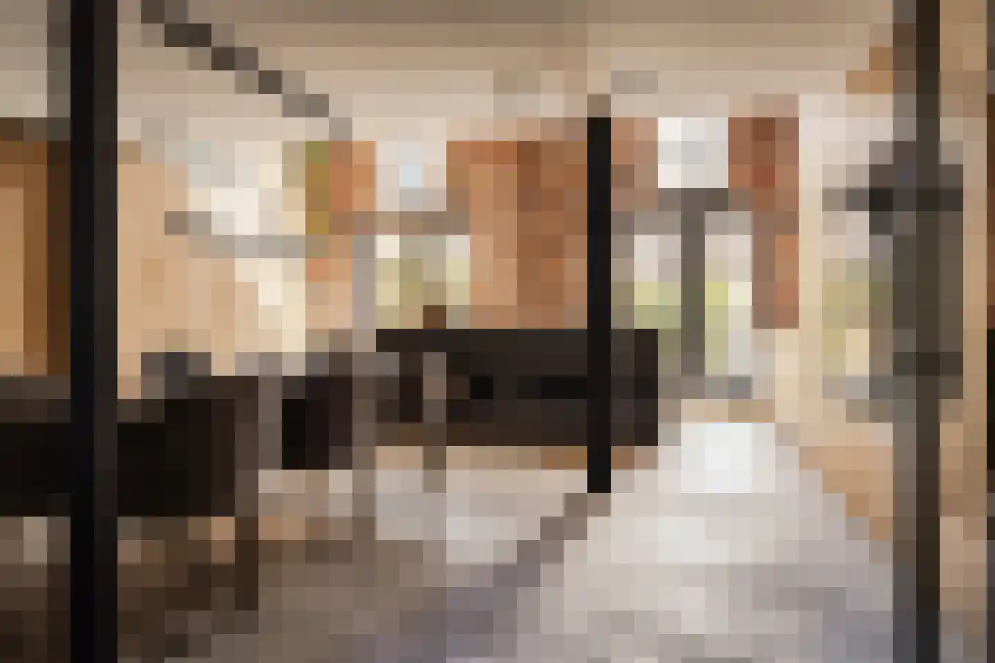 Karabiniersstraat 15 Haarlem thumbnail 14