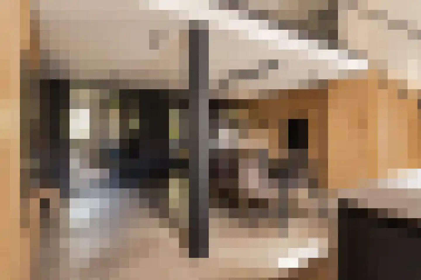 Karabiniersstraat 15 Haarlem thumbnail 16