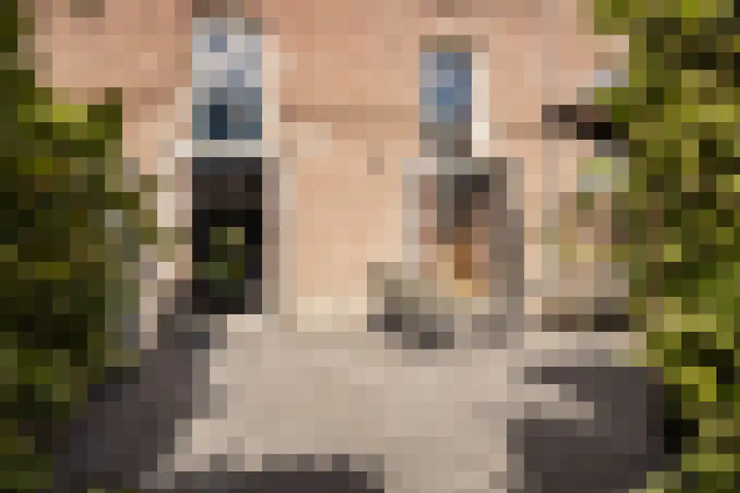 Karabiniersstraat 15 Haarlem thumbnail 17