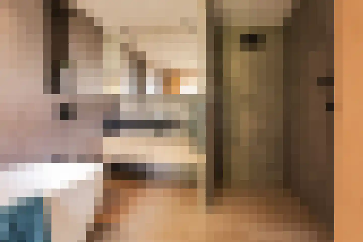 Karabiniersstraat 15 Haarlem thumbnail 37