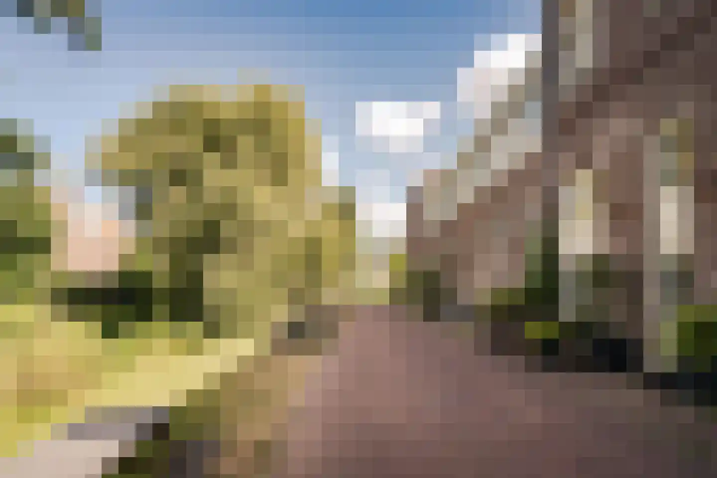 Karabiniersstraat 15 Haarlem thumbnail 4