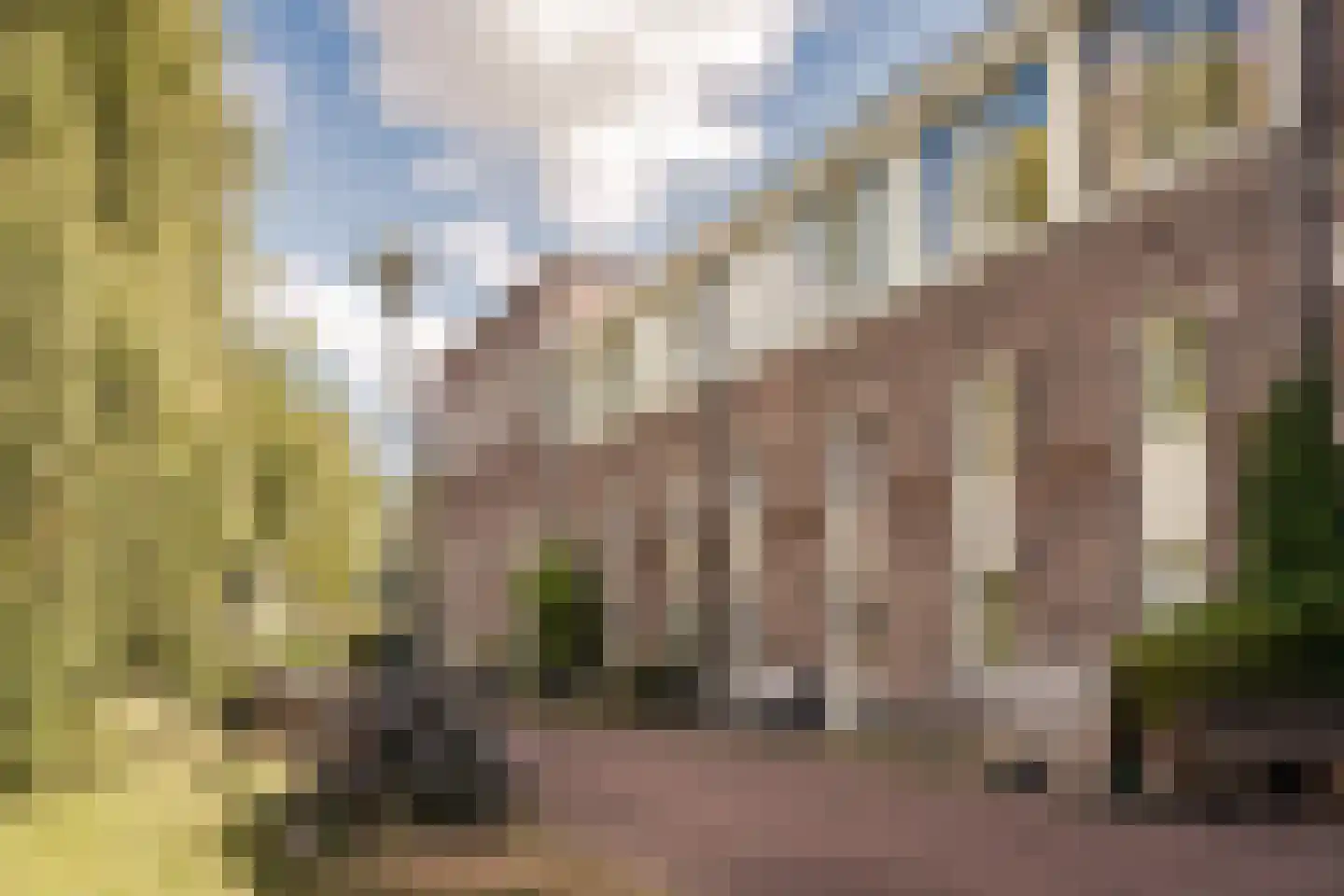 Karabiniersstraat 15 Haarlem thumbnail 41