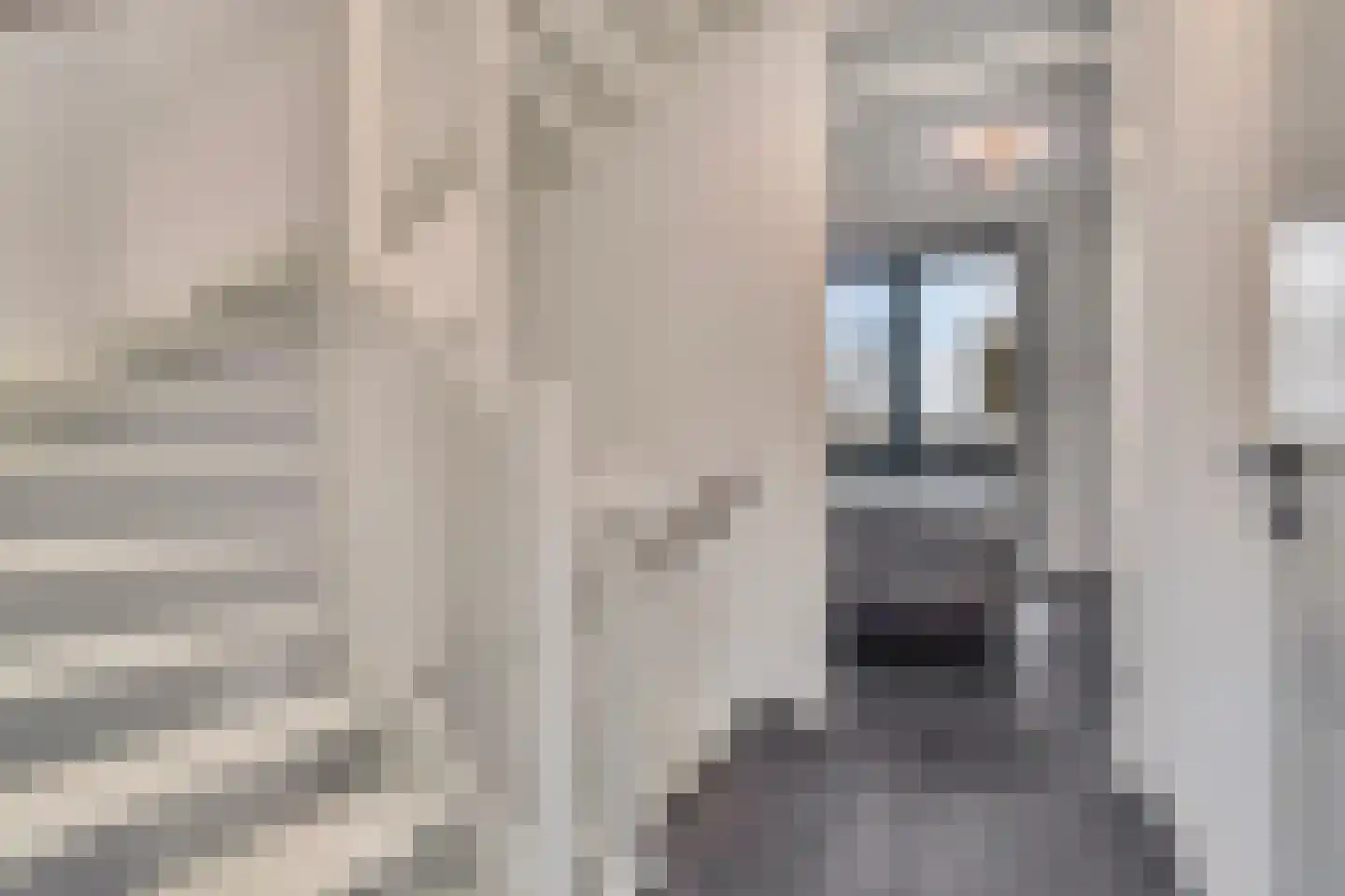 Karakterplein 30 Rotterdam thumbnail 19