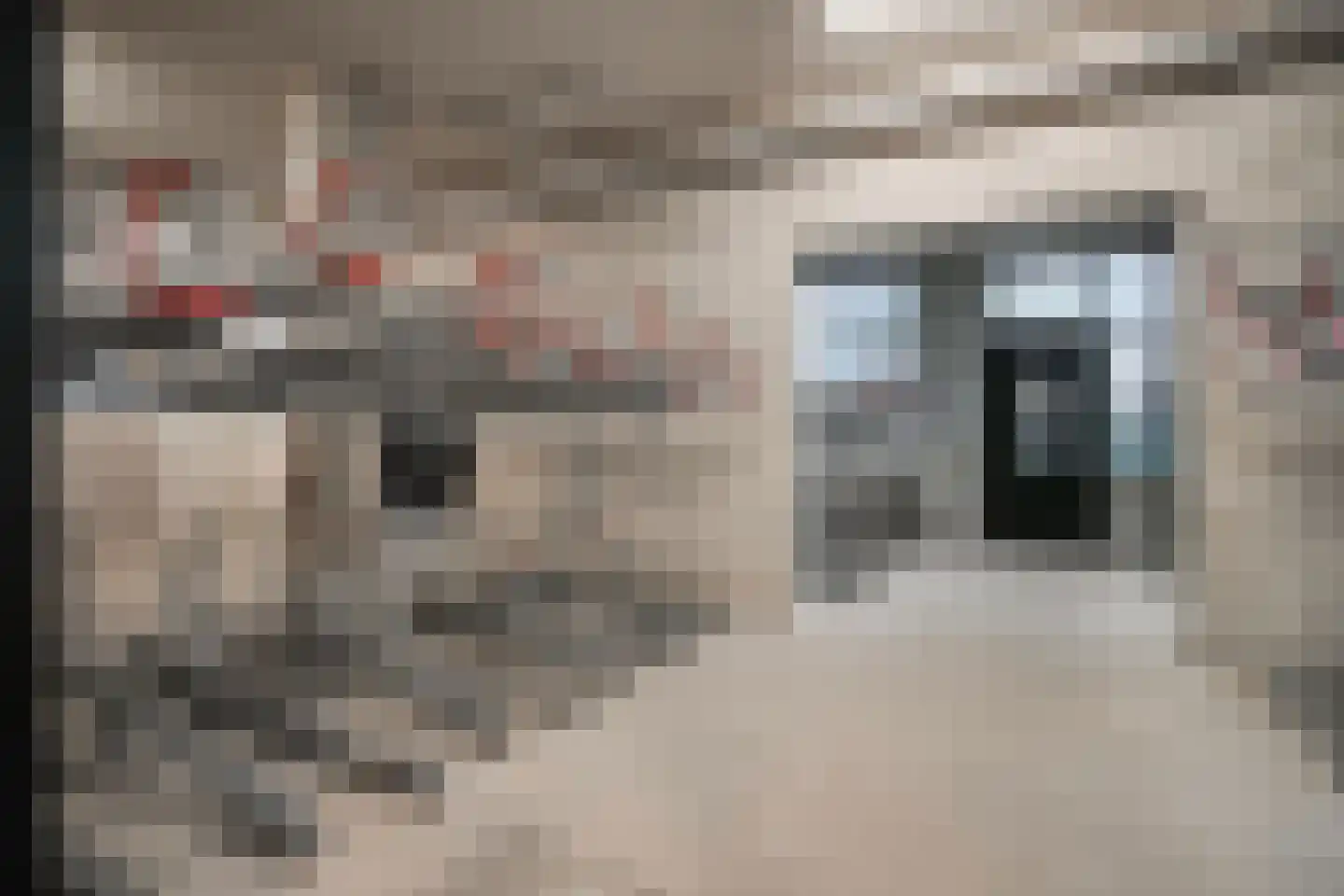 Karakterplein 30 Rotterdam thumbnail 32